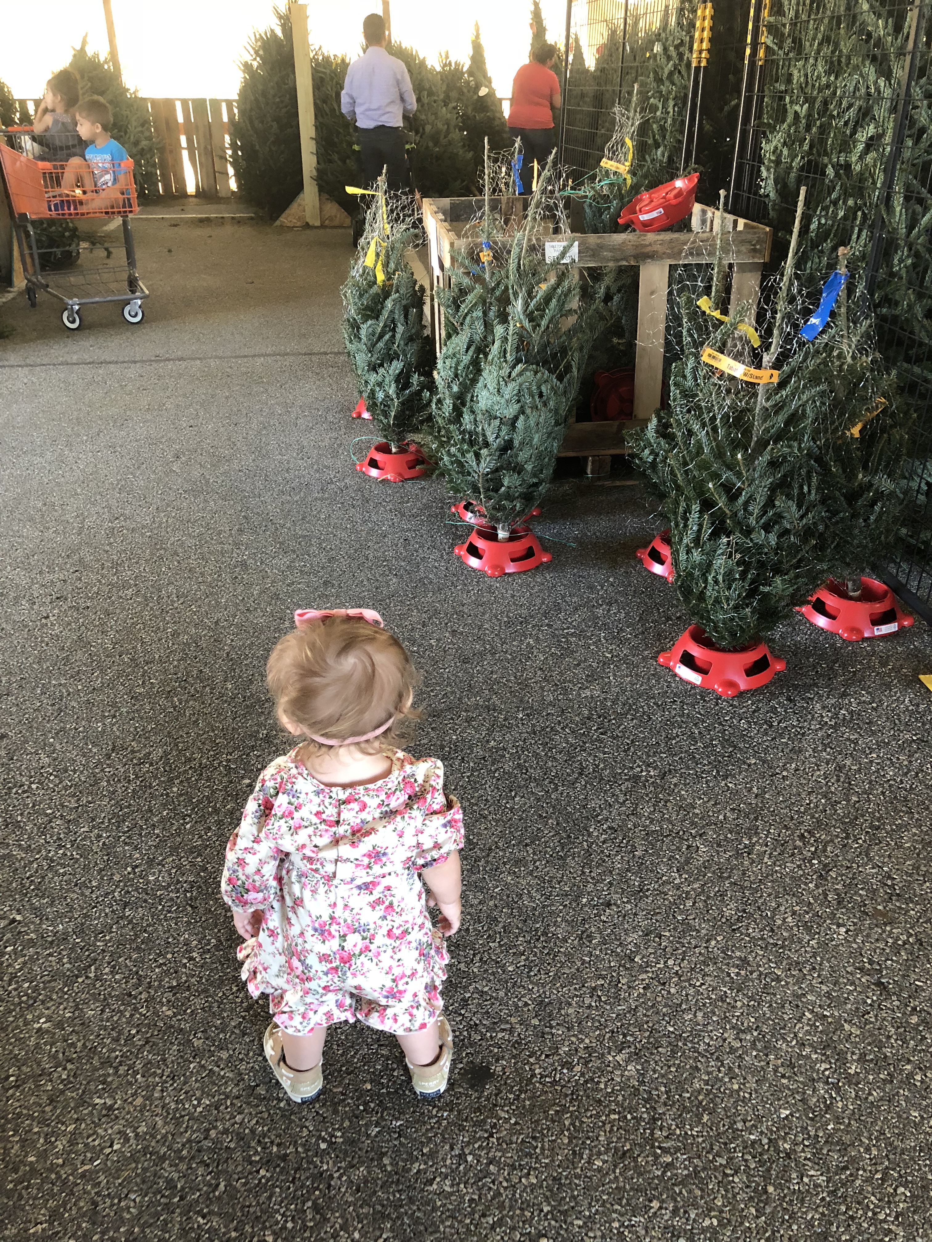 170D6436-1896-425B-868E-89E712B6AC70