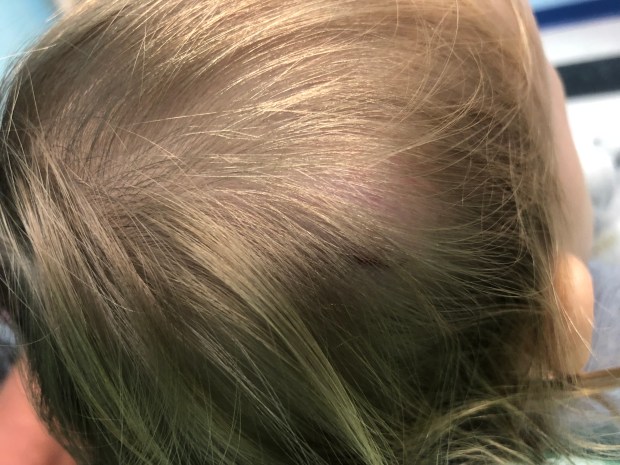 44527639-6392-4053-BF98-636F54501001